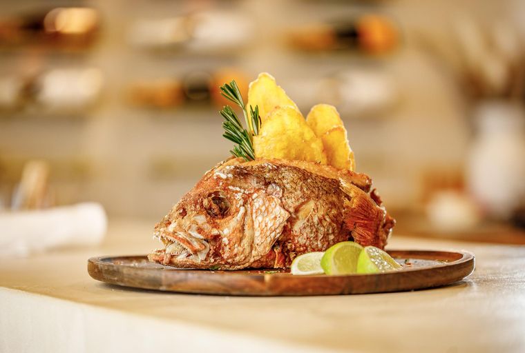Pescado Boca Chica